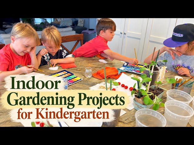 You Still Can Garden in Kindergarten Even If You Don't Have A Yard | Day 8