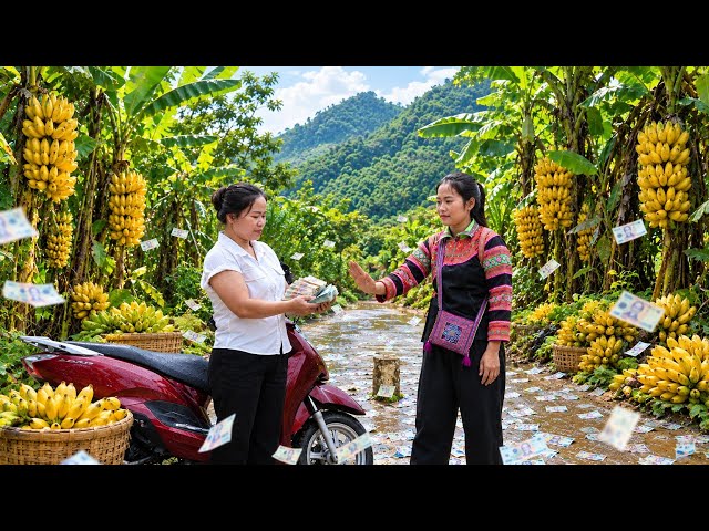 What’s the Surprise from the Mysterious Woman? Living in the Forest and Harvesting Giant Bananas.