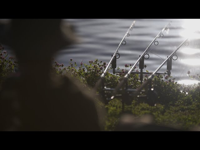 π³ NEW TERRY HEARN FILM THIS FRIDAY! π³
