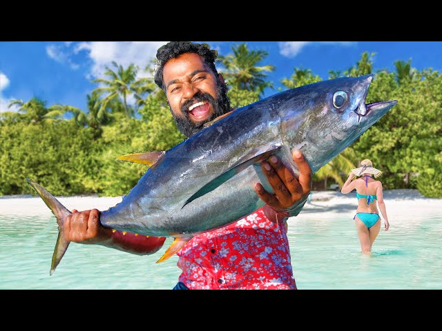 20 KG Big Tuna Maldives Cooking | M4 Tech |