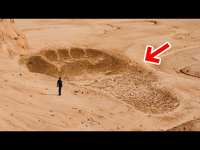 A Scientific Discovery So Crazy, It Sounds Like Pure Fantasy