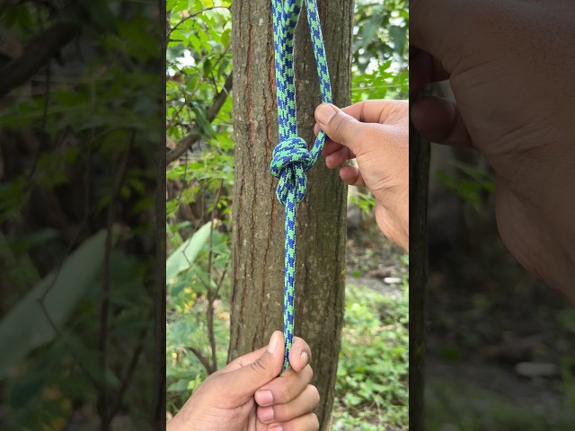This Knot Never Fails