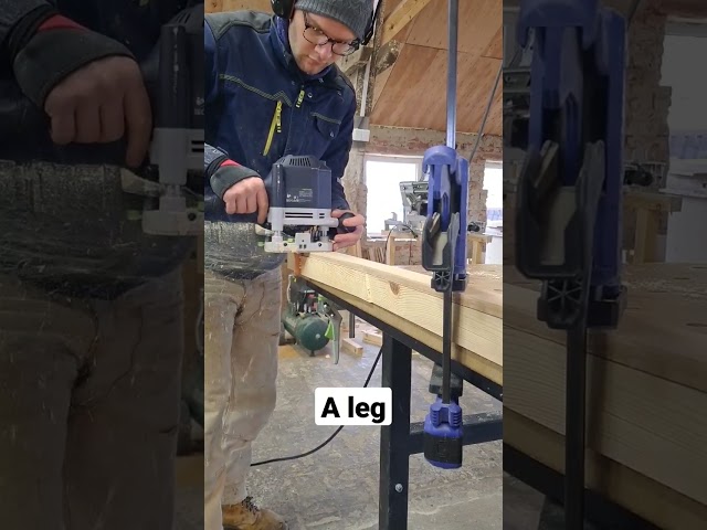 A leg