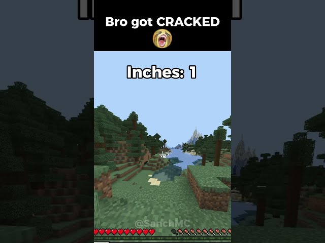 Minecraft but if you like, it goes one inch deeper