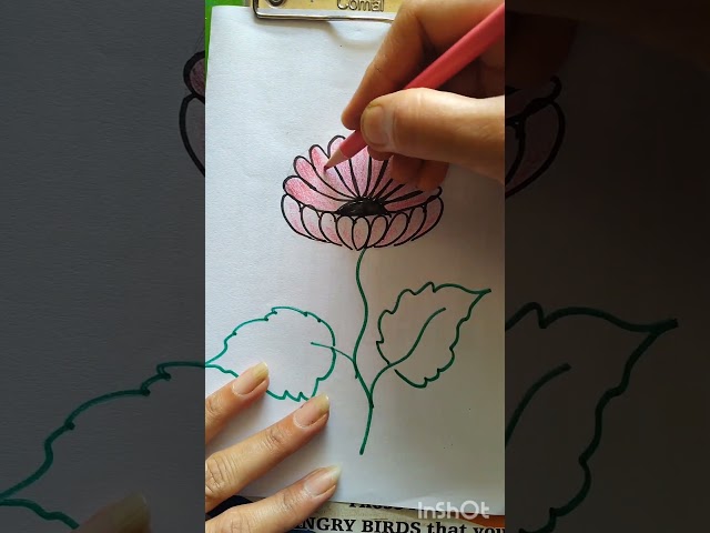 realistic daisy flower drawing #art #easydrawing #beginnerarttips #subscribe #drawing