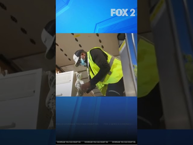Pandas Arrive in Atlanta as Part of US-China Agreement
