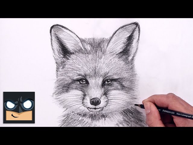 How To Draw a Fox | Sketch Tutorial (Step by Step)