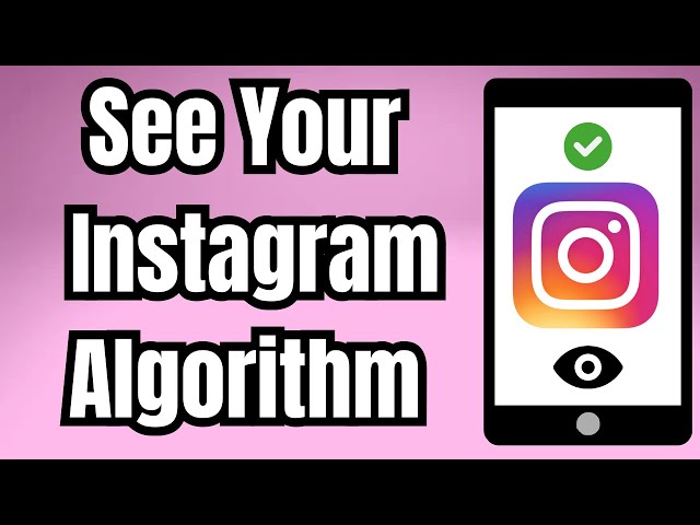 how to see your algorithm on instagram