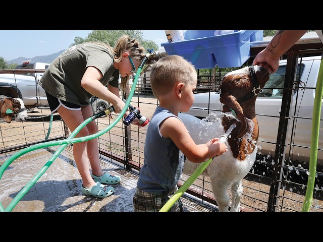 La Plata County Fair 2026