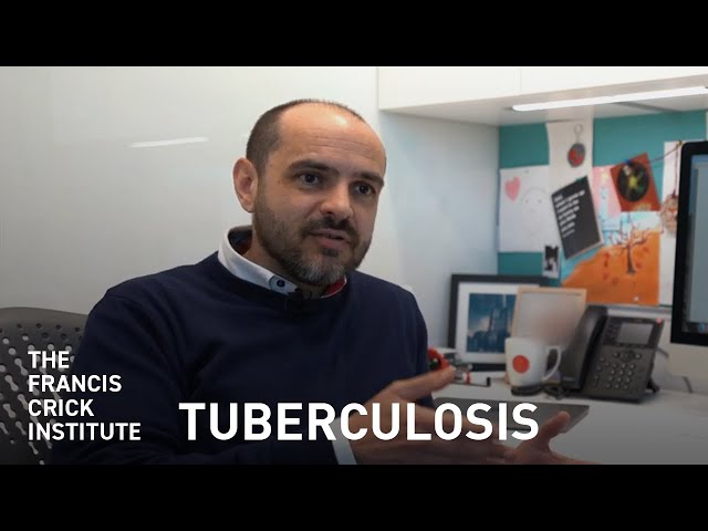 Tuberculosis, the Immune System and Autophagy