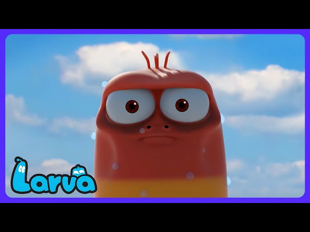 Larva - Floating Away From Home! ✈️ | Kids Cartoons | WildBrain Circus