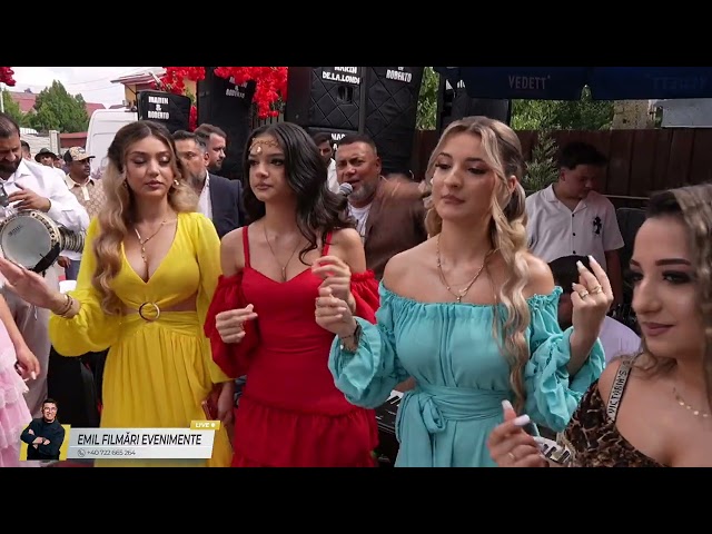 Sorinel Pustiu- Aceasta doamna'i doamna mea -Live-Nunta Elis&Ștefania