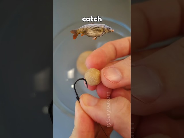 DIY Sweet Bait For Carp & Crucian #shorts #carpfishing