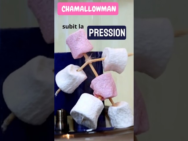 🧠🍭 What happens when you put a marshmallow in a vacuum? #experiment #science #physics