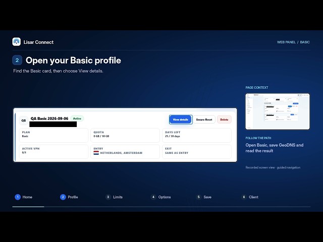 Basic Profile: GeoDNS Settings — Lisar Connect Web Panel