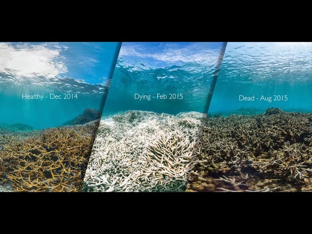 10 Major Current Environmental Problems