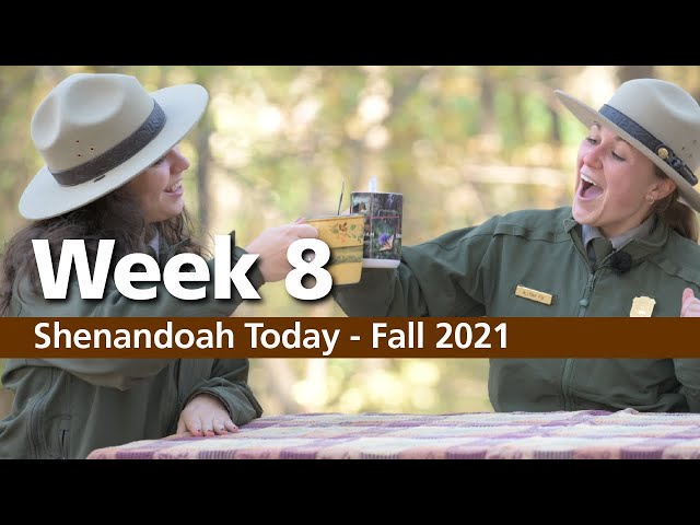 Fall Broadcast - November 4, 2021