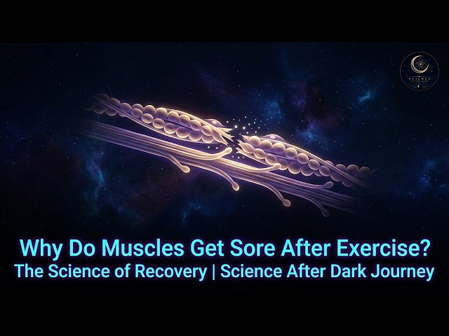 Why Do Muscles Get Sore After Exercise? The Science of Recovery | Science After Dark Journey