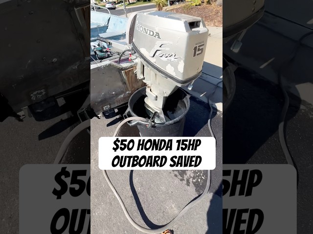 $50 Honda 15HP Outboard Motor brought back to life #honda#boat#outboard