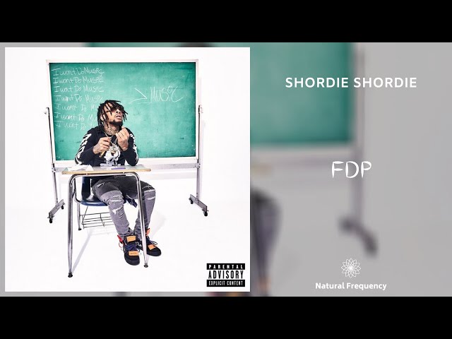 Shordie Shordie - FDP (432Hz)