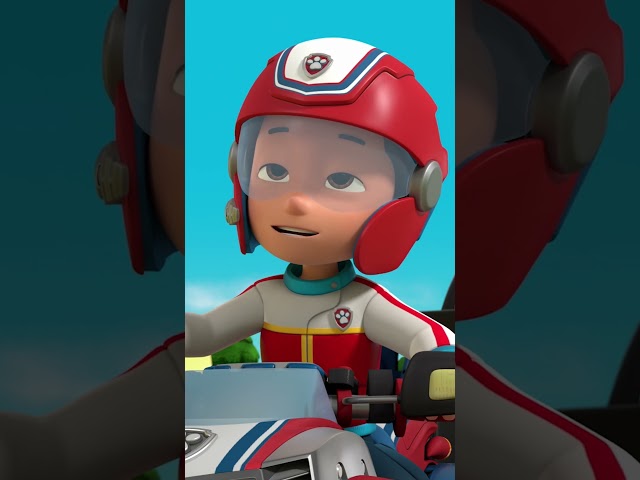 Skye is in the Sky! 🚁 #PAWPatrol #Shorts