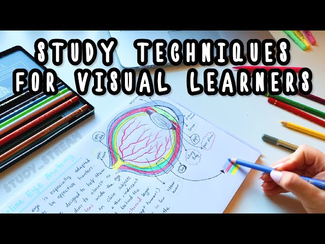 How to Study if You Are a Visual Learner