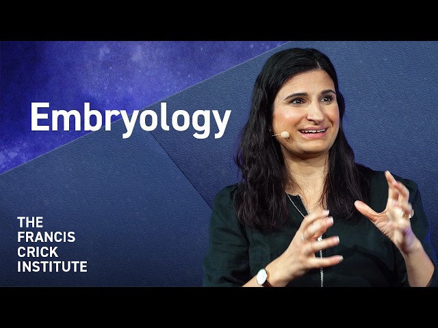 How Do We Study How Embryos Grow? – with Naomi Moris
