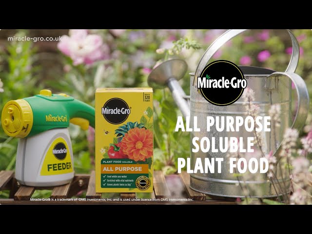 Miracle-Gro® Plant Food Soluble – All Purpose & Miracle-Gro® Feeder | Fast Feeding for Fast Results