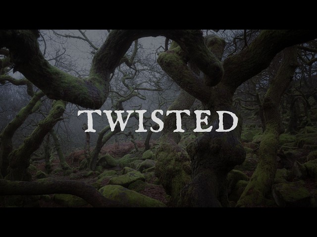 Photographing the Twisted Oak Trees at Padley Gorge | Peak District Woodland Photography