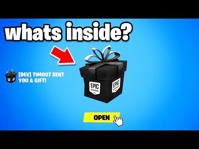 A Fortnite Dev Sent Me THIS..