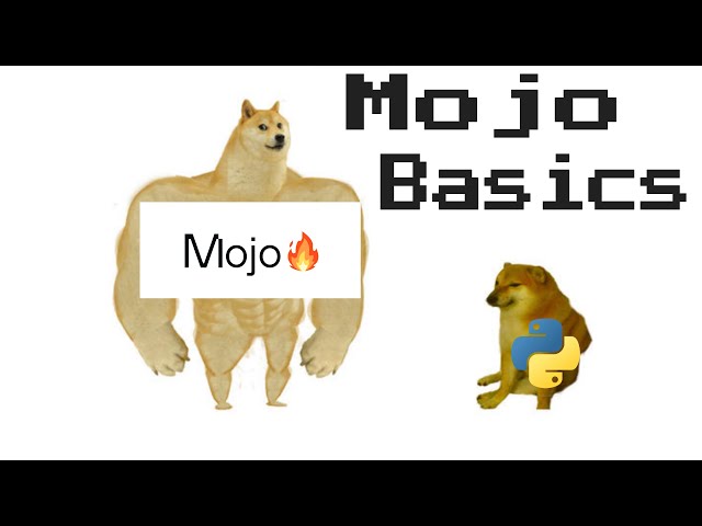 Mojo Programming Language Basics || Tutorial