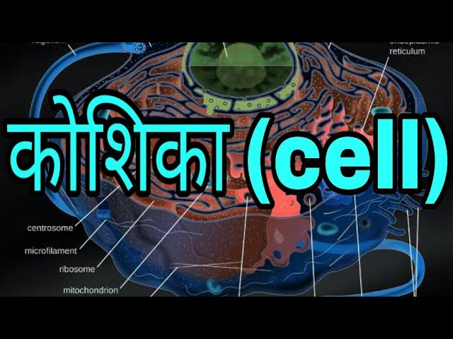 Cell in hindi || कोशिका क्या है ! ||