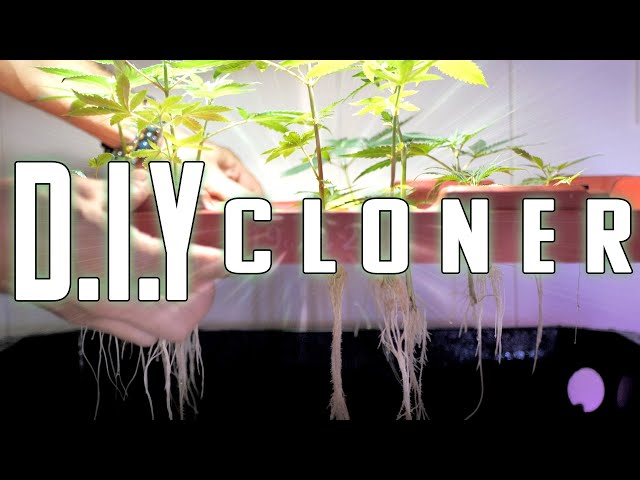 DIY Aeroponic CLONER BUILD | Clone From Cuttings The Fastest and Most Effective Way, Aeroponically