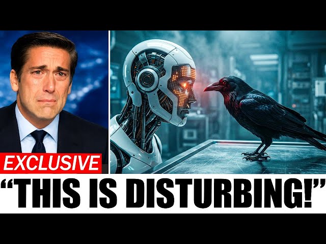 Scientists Used AI to Decode Crow Sounds — What They Found About Humans Is Terrifying