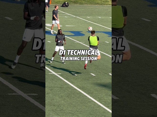 D1 Technical Training Session