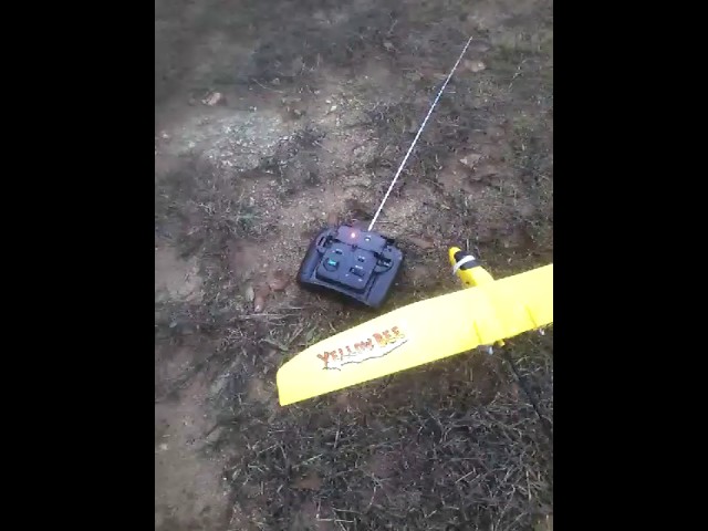Rc plane yellow bee