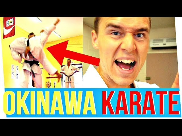 PRACTICAL KARATE THROWS, BUNKAI & SELF-DEFENSE — Jesse Enkamp