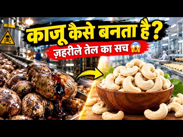 काजू फैक्ट्री में कैसे बनता है? 😱 क्या ये सच में ज़हरीले तेल से गुज़रकर आता है?Cashew Manufacturing 