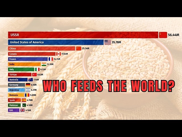 Who Feeds the World? Wheat Production Data Visualization (1961-2024)