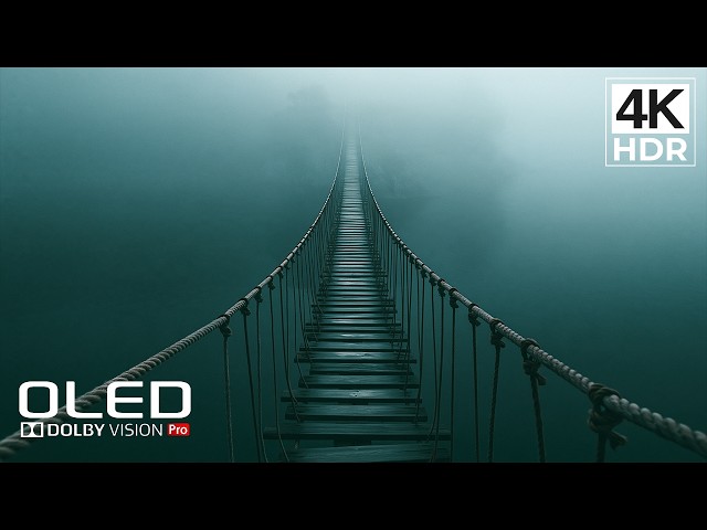 This Is What Next-Level Picture Quality Looks Like | 4K HDR Dolby Vision 60FPS