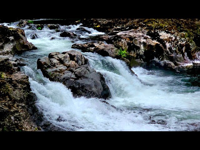🔊 Lucia Falls — Washington’s Loudest Quiet Place