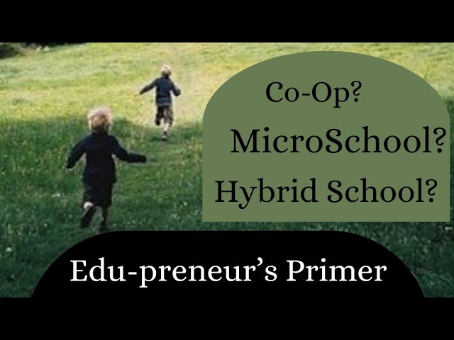 Microschool, Hybrid School, or Co-op?! Which One Do I Start?