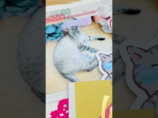 #daily #journaling #tutorial #diy #relaxing #easy #journal day 21