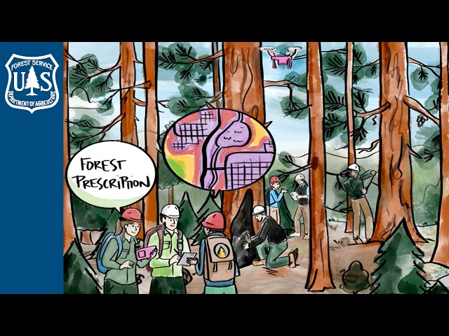 Healthy Forests Need Prescriptions Too