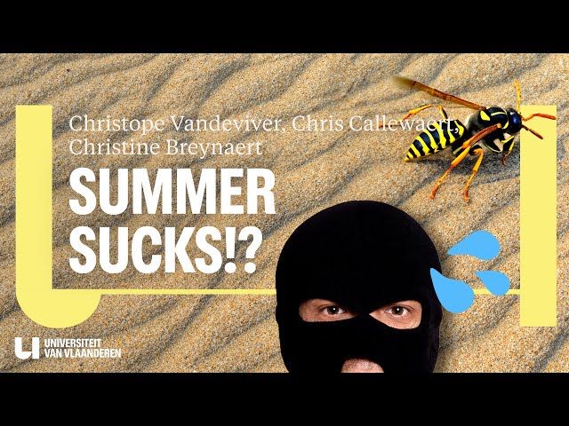 Why can't summer be without wasps, sticky sweat and pickpockets?