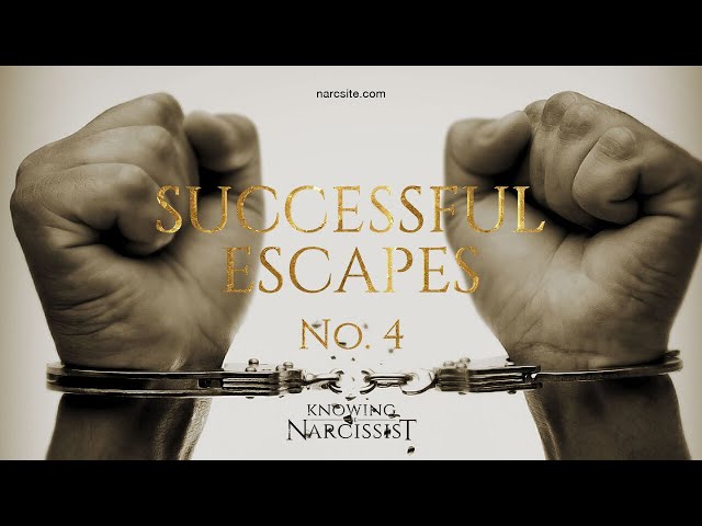 Successful Escapes : 4