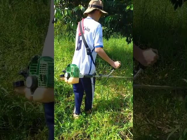 Funny TV- Cắt cỏ vườn p1