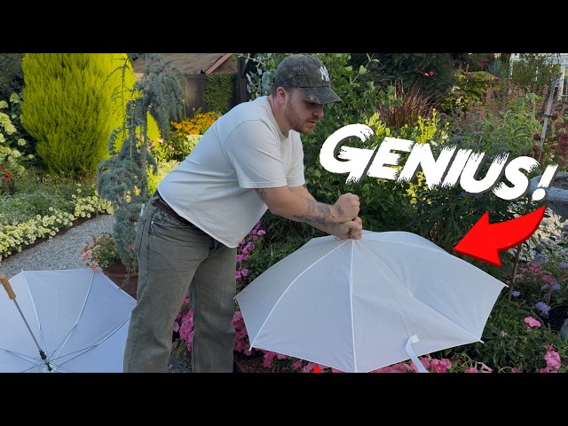 Garden Hacks NOBODY Told You About!