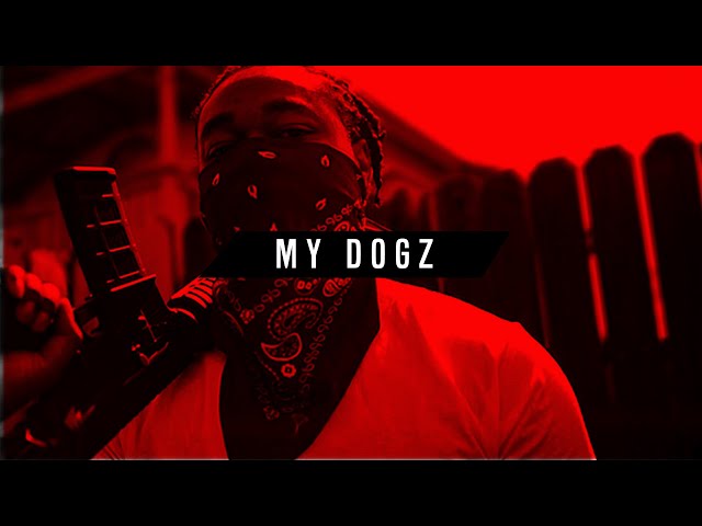 Aggressive Fast Flow Trap Rap Beat Instrumental ''MY DOGZ'' Tyga x 6ix9ne Type Fast Hype Dark Beat