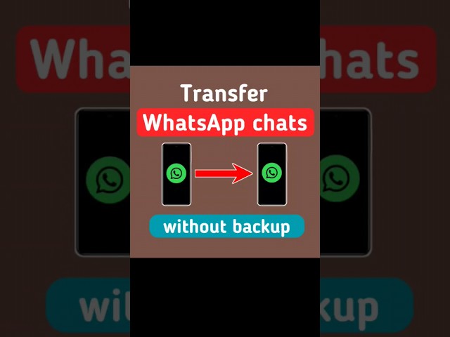 Transfer Whatsapp Chat Without Backup